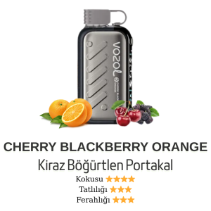 Vozol Gear 50000 - Cherry Blackberry Orange
