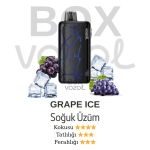 Vozol 45000 Puff - Grape Ice - Neon