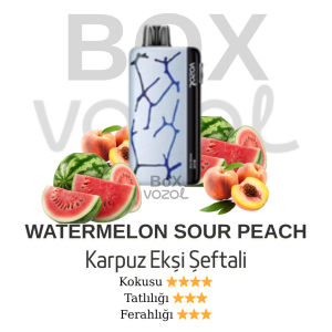 Vozol 45000 Puff - Watermelon Sour Peach - Neon