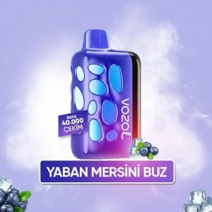 Vozol 40000 Puff - Blueberry Ice - Rave