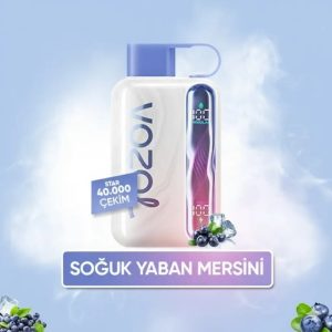 Vozol 40000 Puff - Blueberry Ice - Star