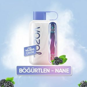 Vozol 40000 Puff - Blueberry Mint - Star
