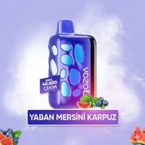 Vozol 40000 Puff - Blueberry Watermelon - Rave
