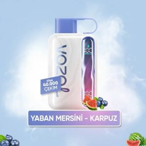 Vozol 40000 Puff - Blueberry Watermelon - Star