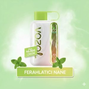 Vozol 40000 Puff - Cool Mint - Star