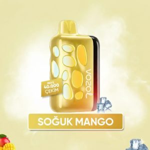 Vozol 40000 Puff - Mango Ice - Rave