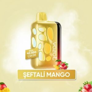 Vozol 40000 Puff - Mango Peach - Rave