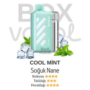 Vozol 40000 Puff - Cool Mint - Vista