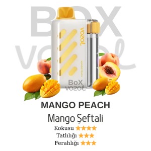 Vozol 40000 Puff - Mango Peach - Vista