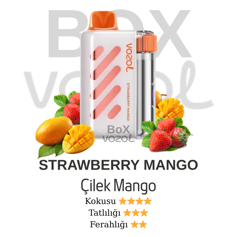 Vozol 40000 Puff - Strawberry Mango - Vista